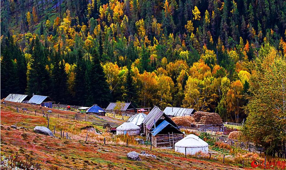 Autumn in Xinjiang's Hemu Village