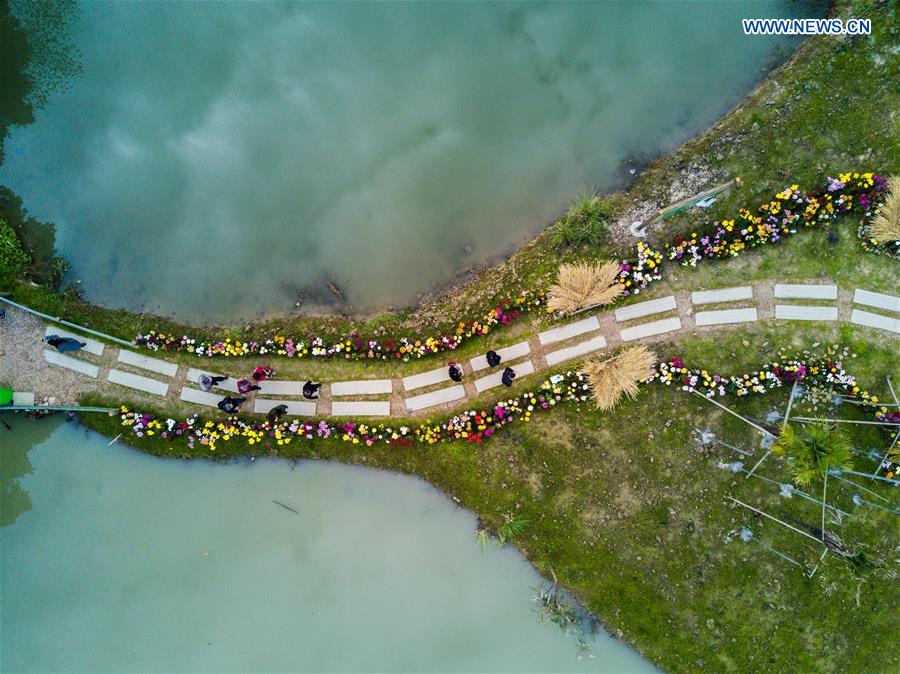 CHINA-ZHEJIANG-CHRYSANTHEMUM EXHIBITION(CN) 