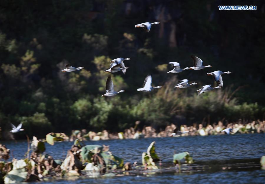 CHINA-YUNNAN-PUZHEHEI WETLAND PARK (CN)