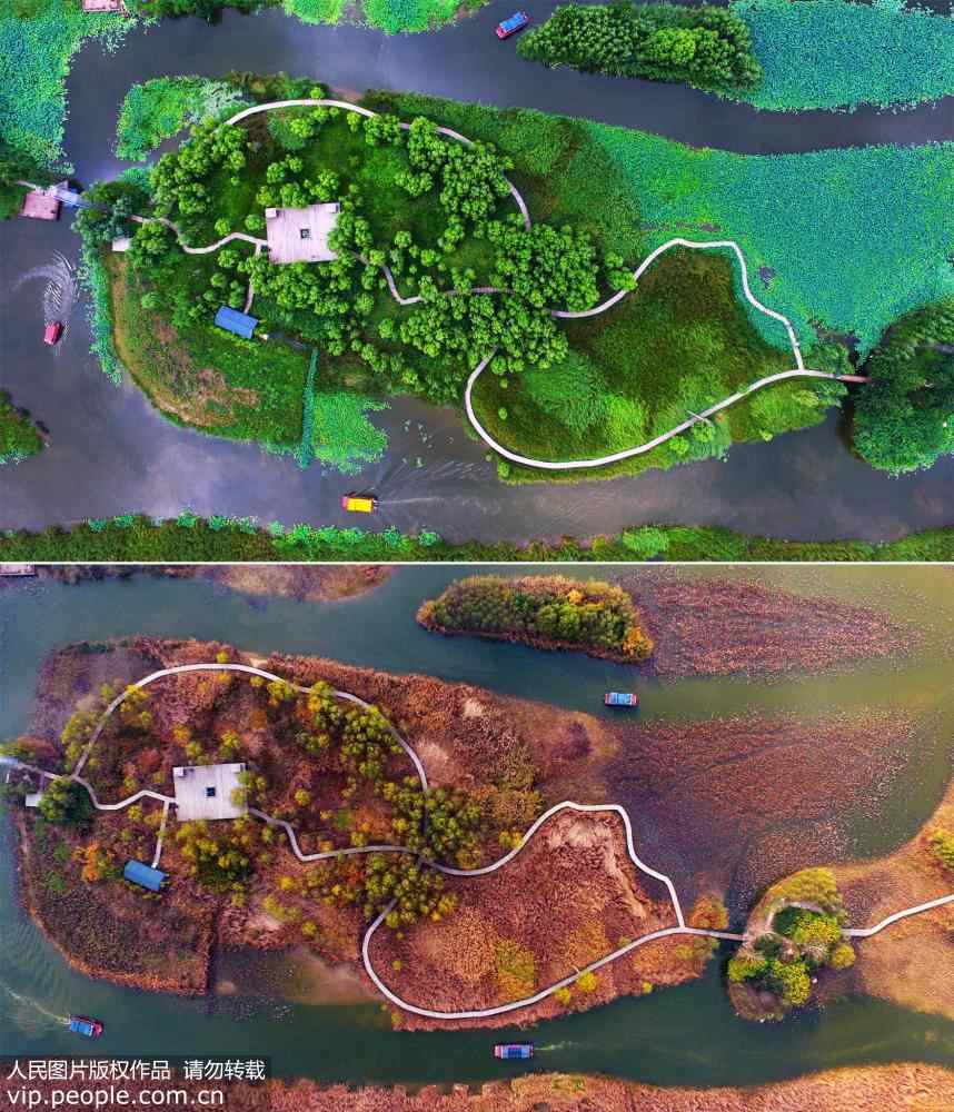 Aerial view of Shandong wetland park