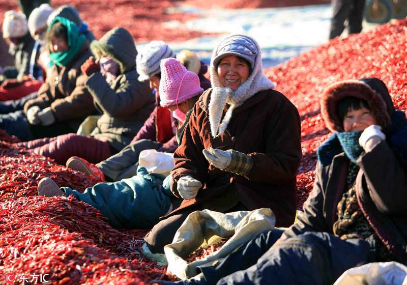 Pepper harvest bathes Shanxi village in sea of red
