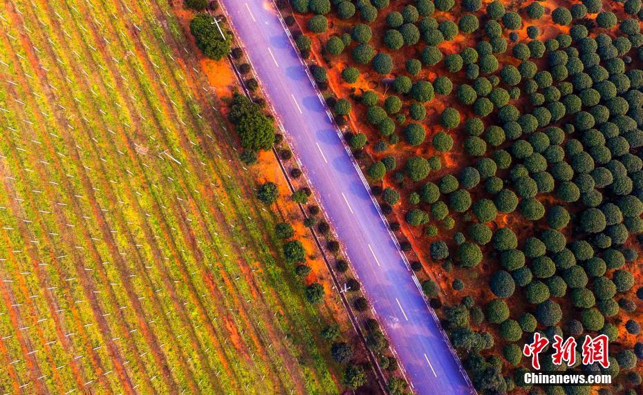Jiangxi agricultural 'fairyland'