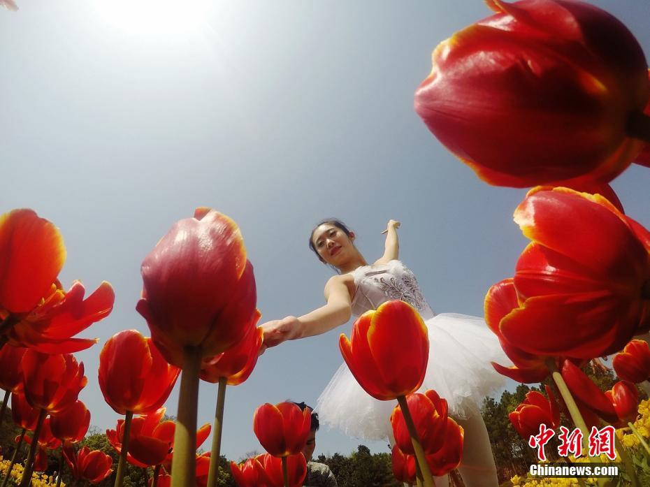 Flower ballet in Hunan