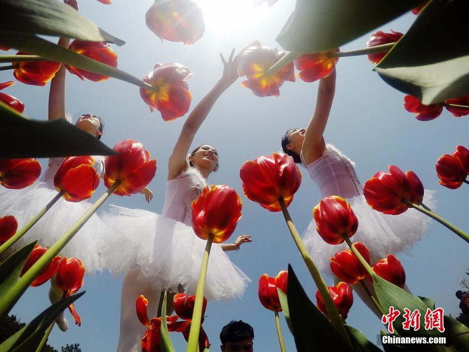 Flower ballet in Hunan