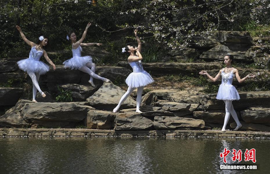 Flower ballet in Hunan