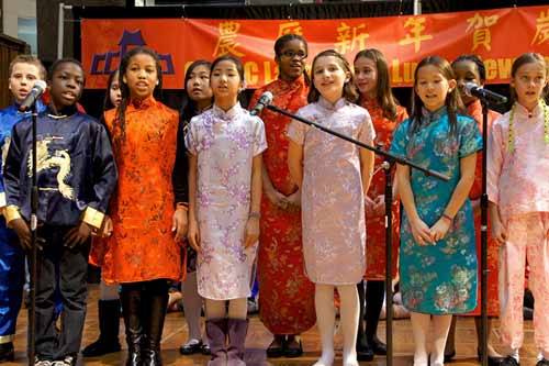 Chinese listed as second most spoken foreign language in U.S.: survey