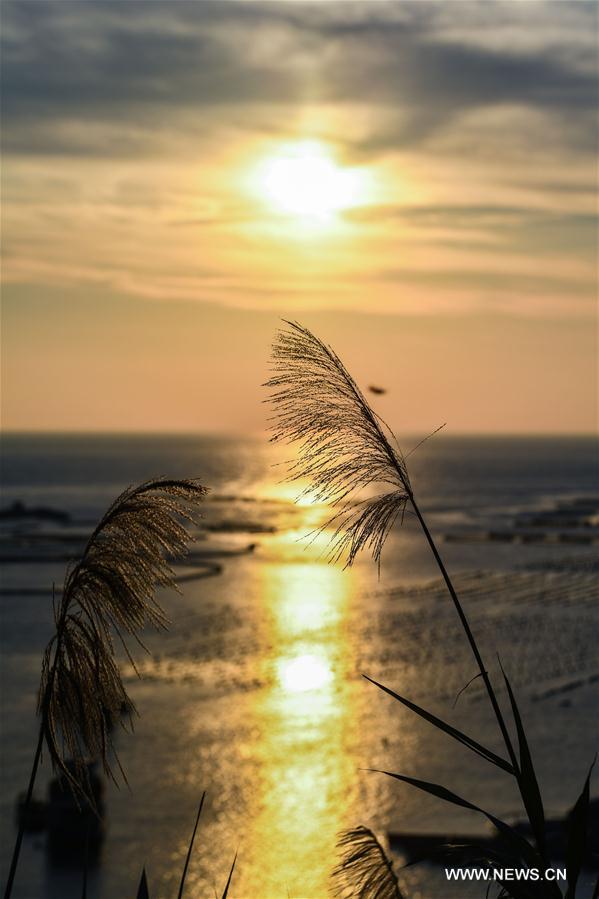 Scenery of Nanji islands in east China's Zhejiang