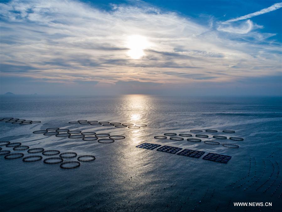 Scenery of Nanji islands in east China's Zhejiang