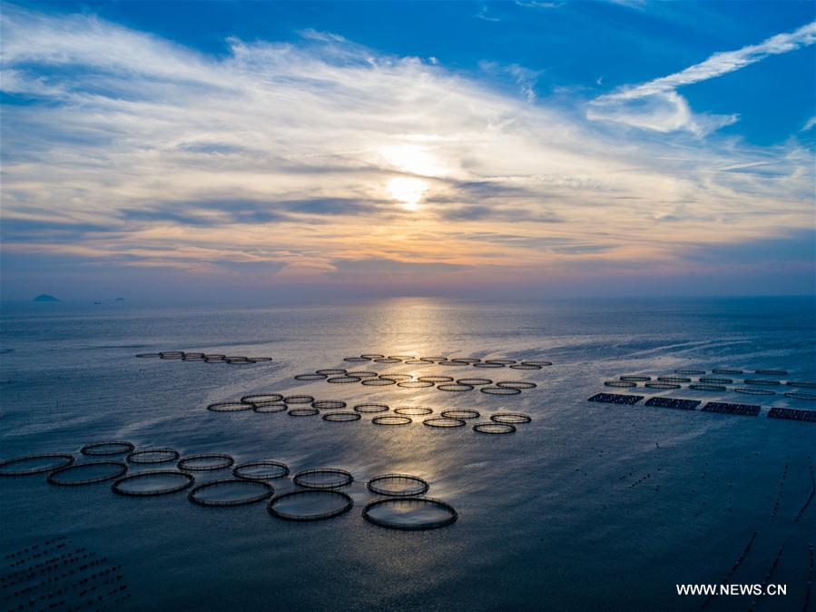 Scenery of Nanji islands in east China's Zhejiang