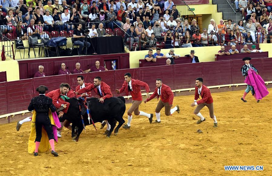 Highlights of bullfighting in Lisbon, Portugal