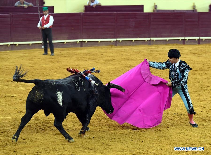 Highlights of bullfighting in Lisbon, Portugal