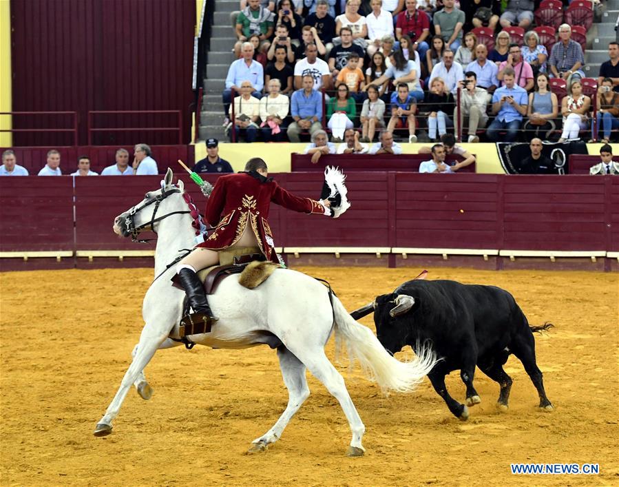 Highlights of bullfighting in Lisbon, Portugal