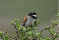 A wildlife watcher's wonderland