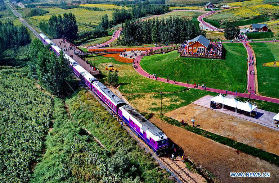 Tourist train seen in Dongxuzhuang scenic spot, N China's Hebei