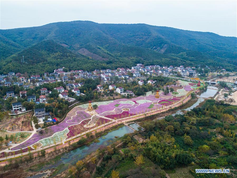 Beautiful scenery of flower-decorated Xiaopu Township in east China