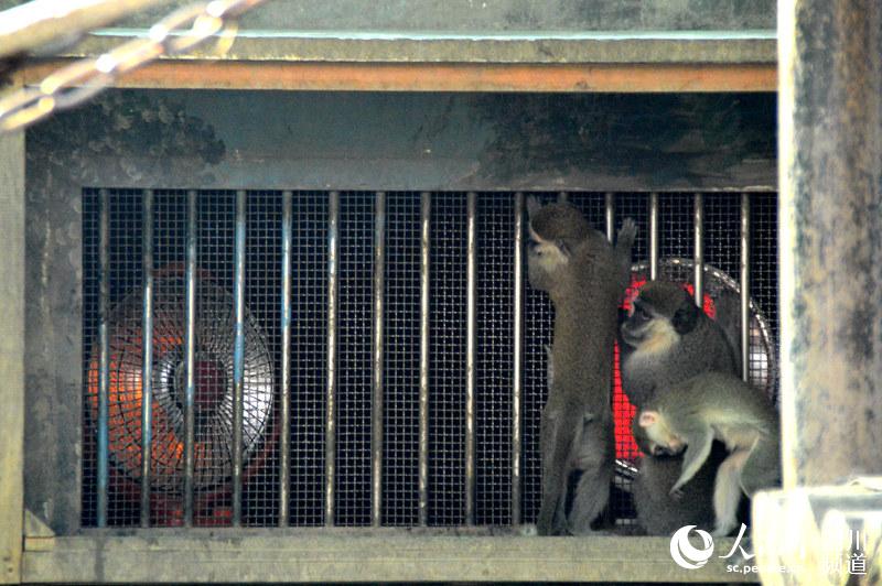 Zoo animals enjoy warm winter with heaters