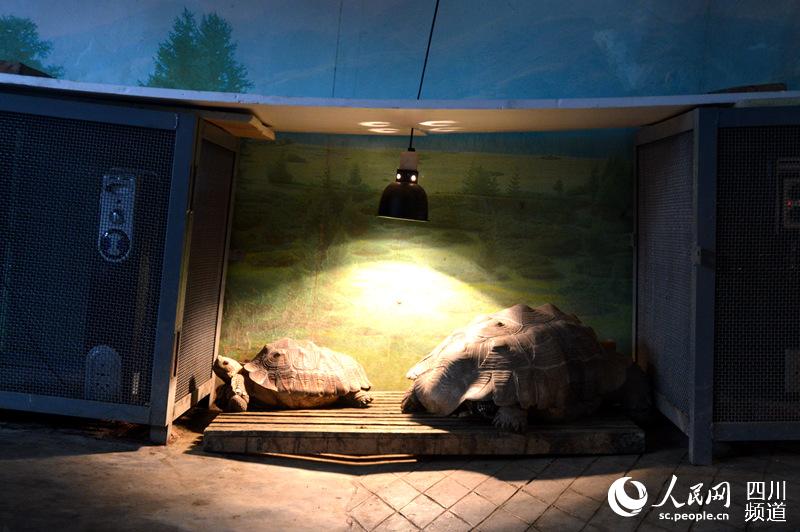 Zoo animals enjoy warm winter with heaters