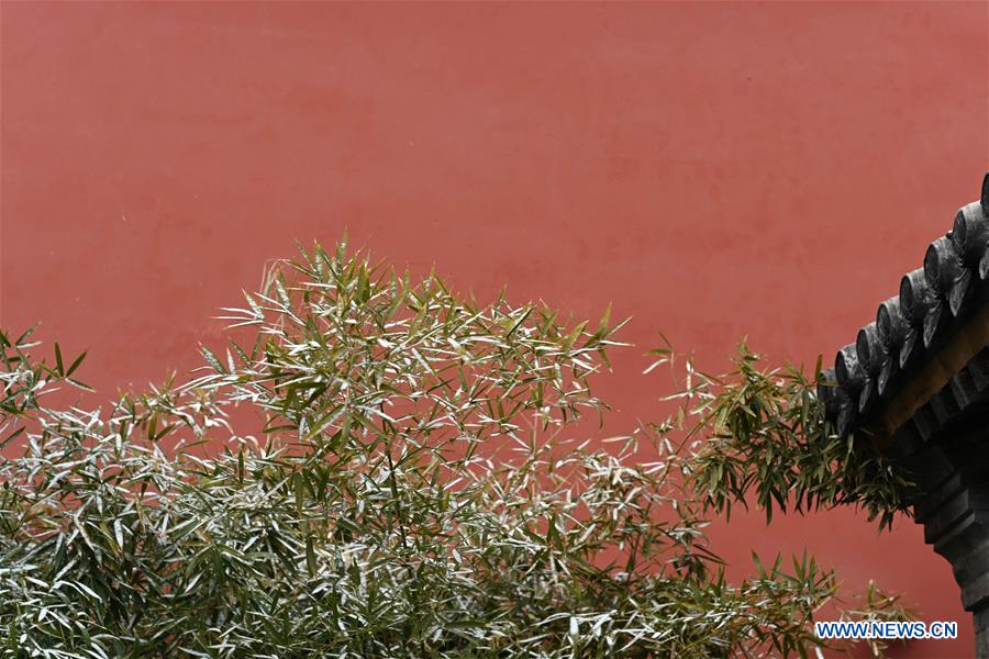 Visitors view snowy scenery at Palace Museum in Beijing