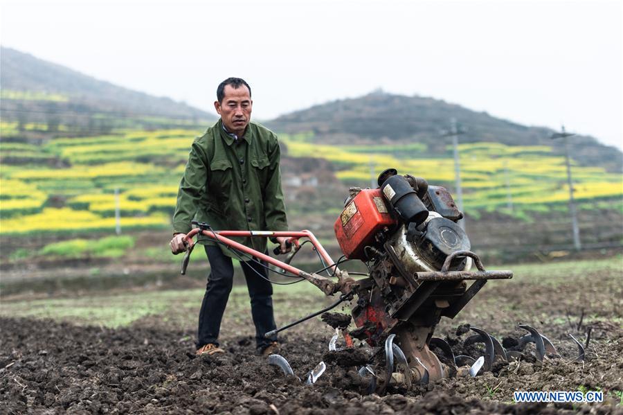 Spring farming across China