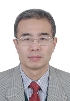 Wang Jun，Doctor of Management and Professor of Economics, President of the Academy of Greater Bay Area Studies.