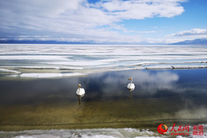 Lake thaws in NW China's Xinjiang