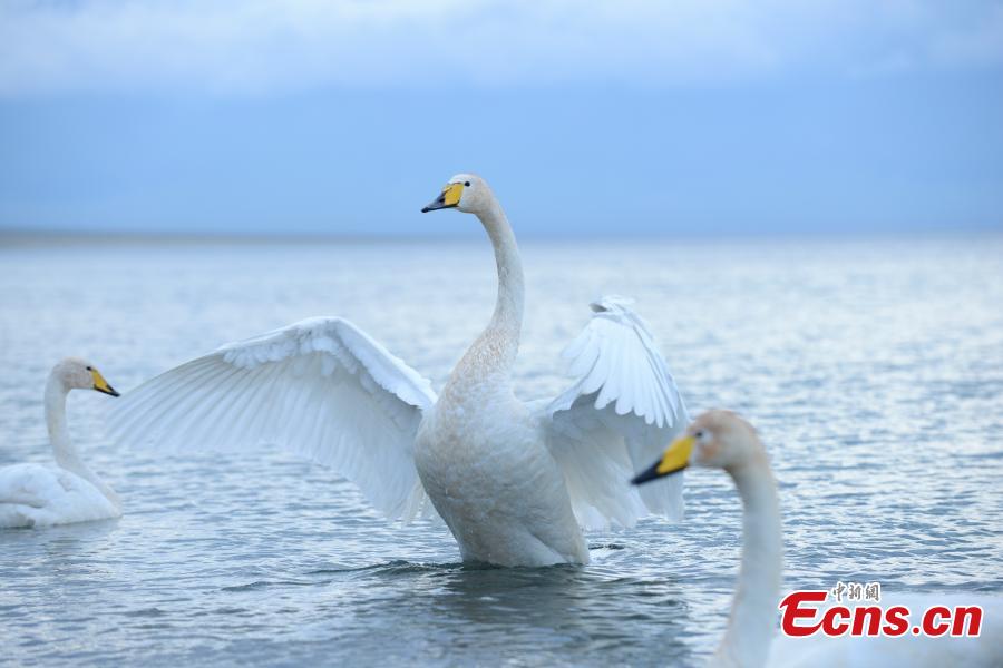 Xinjiang’s highest lake a natural wonder