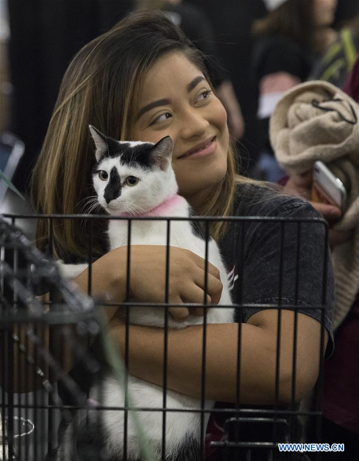 Mega Adoption event held in Texas, U.S.