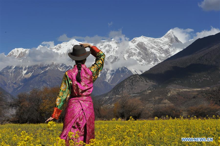 Scenery of cole flower field in China's Tibet
