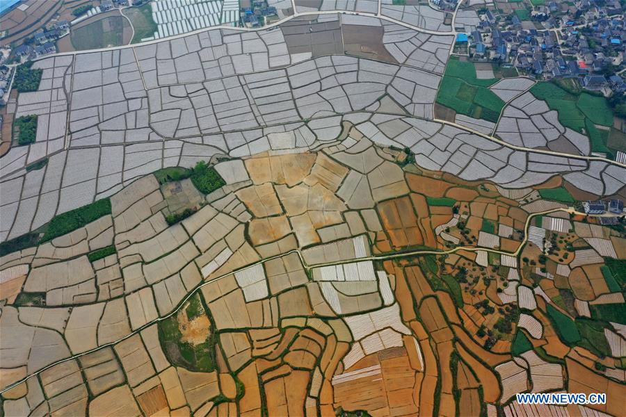 Agricultural production resumed in Guizhou