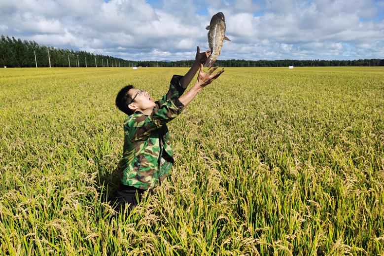 Harvest brings joy to Chinese farmers
