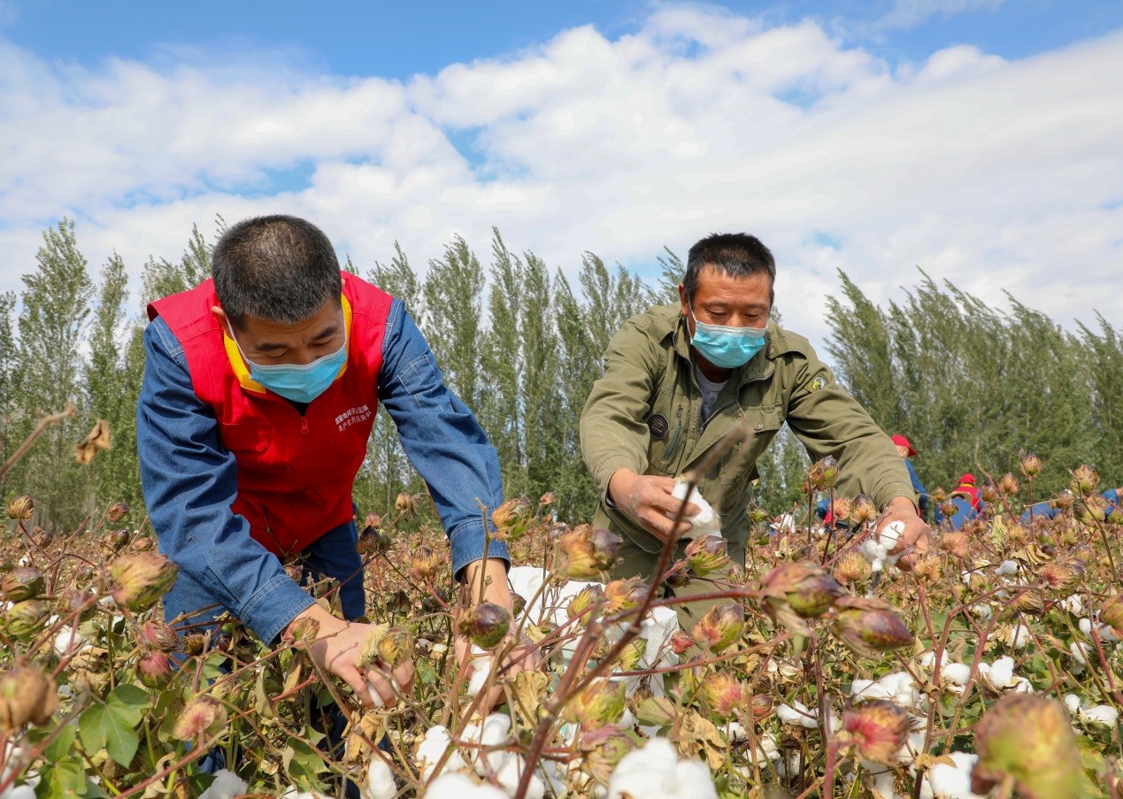 China to stick with CPC policies on governing Xinjiang for the new era