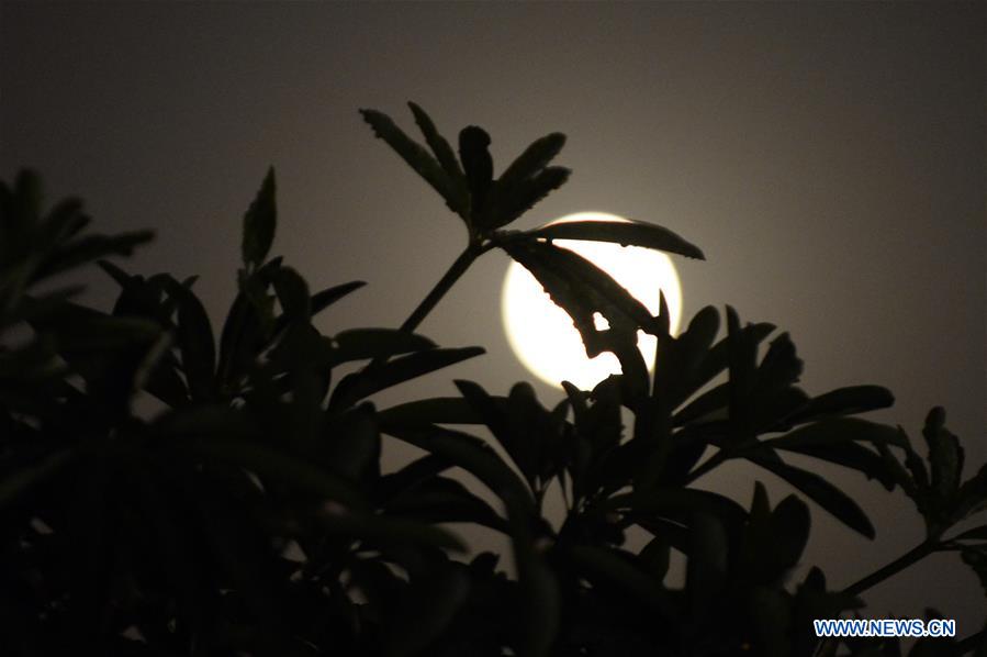In pics: full moon seen across world