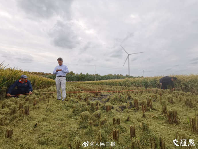Yuan Longping’s team sets new record for salt-resistant rice yield
