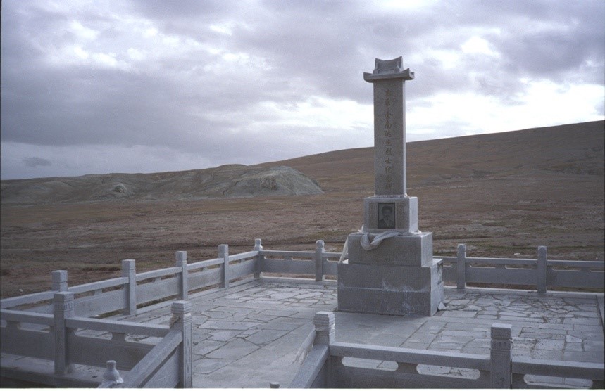 China’s Sanjiangyuan National Park becomes ideal home of Tibetan antelopes
