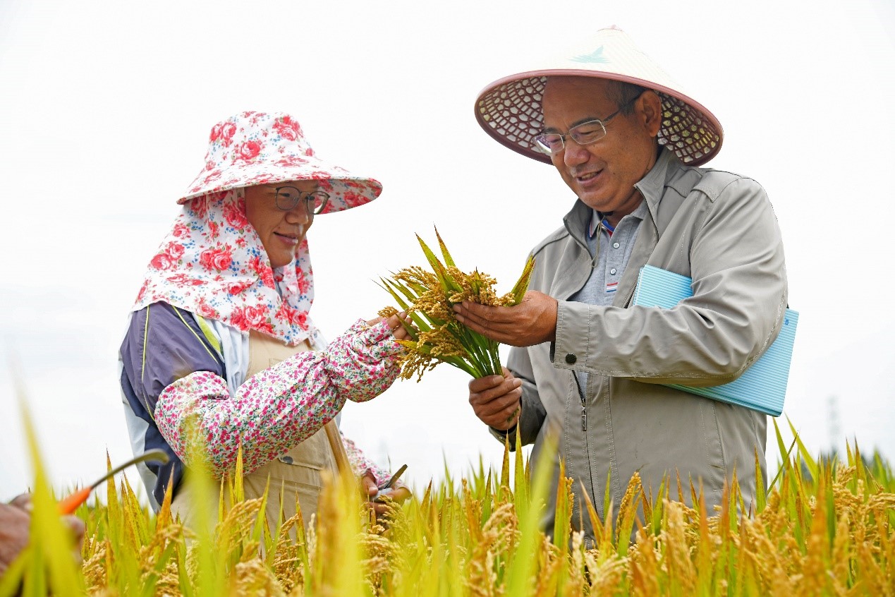 China Innovation Index hits new high in 2019