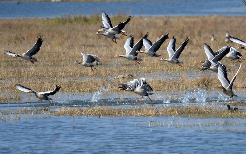 Protection of Earth calls for ambition of mankind to cope with climate change