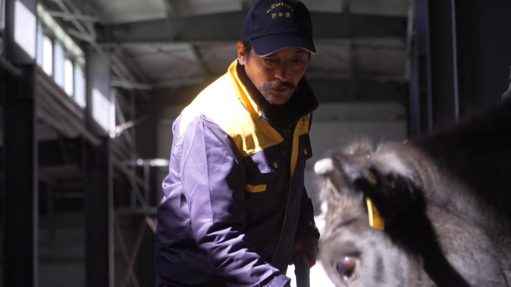 China's Tibet helps farmers, herdsmen find jobs