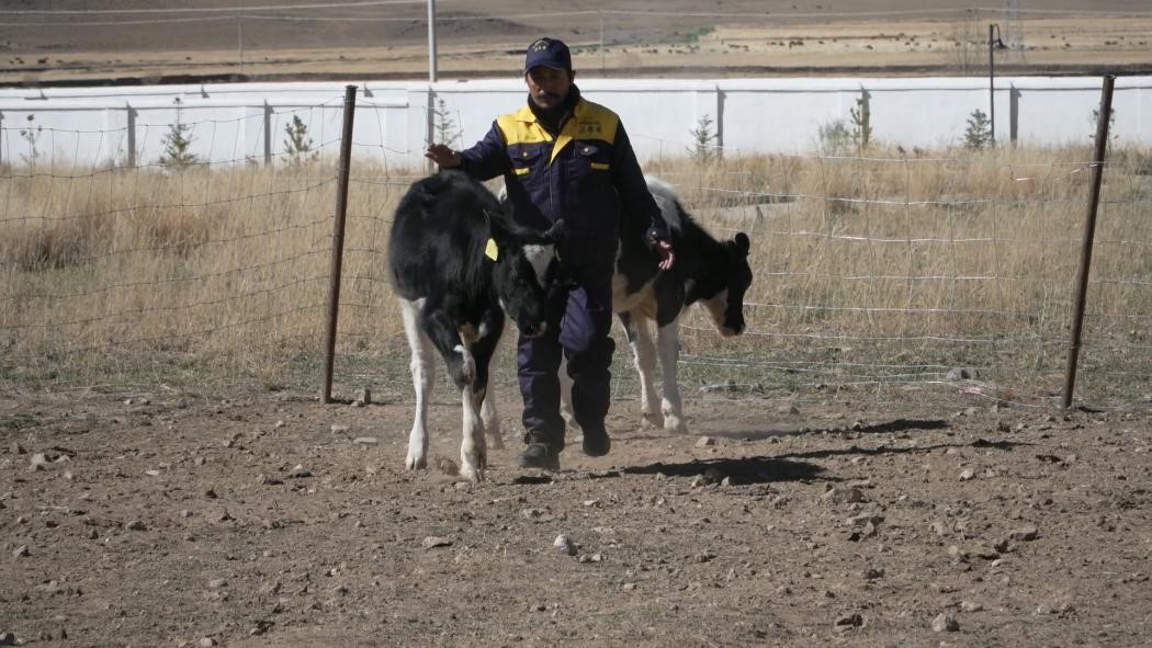 China's Tibet helps farmers, herdsmen find jobs