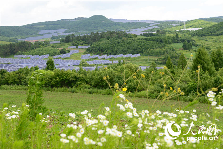 Gigantic centralized PV project glitters in NE China