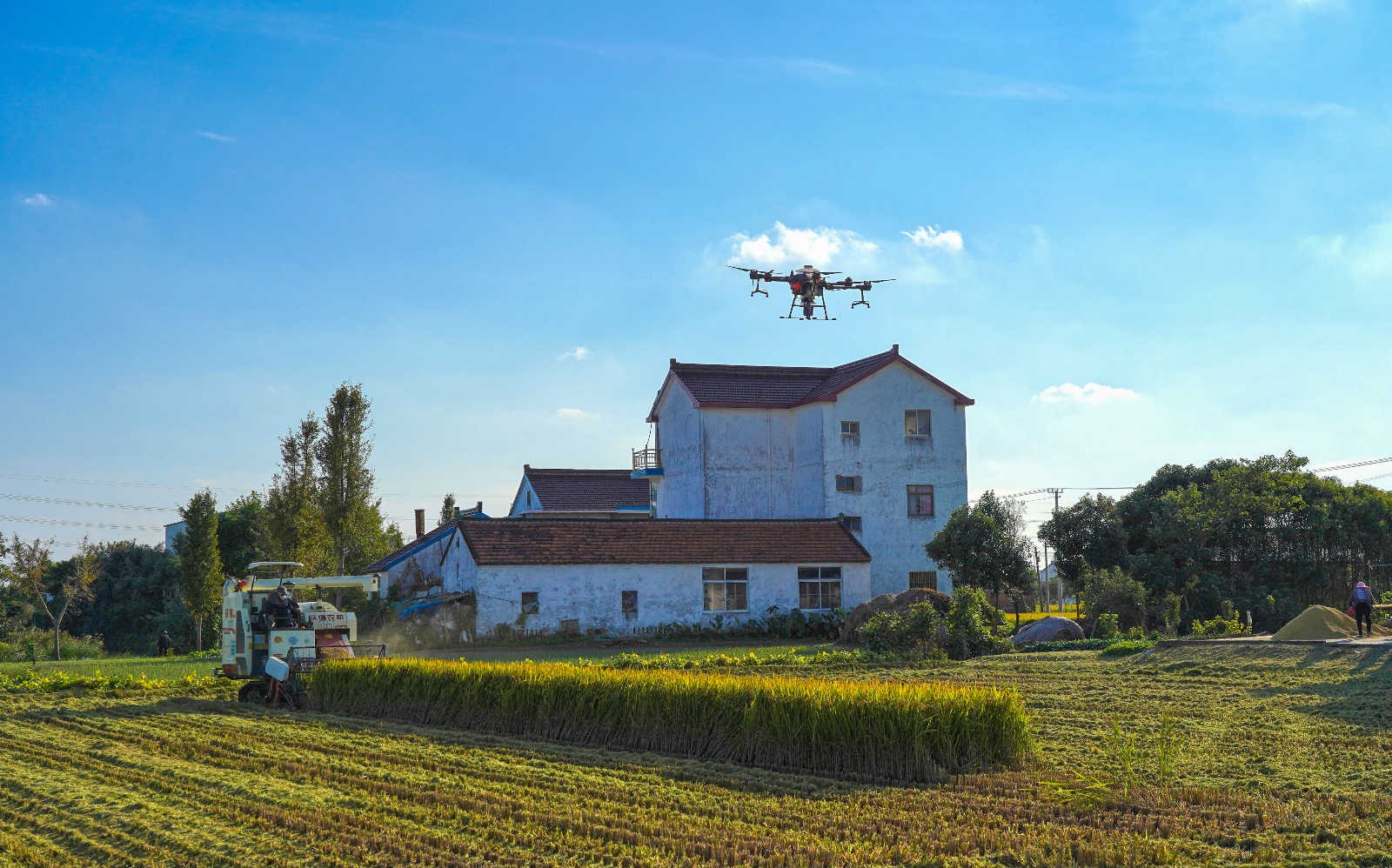 China to advance work related to agriculture, rural areas, farmers with concrete efforts
