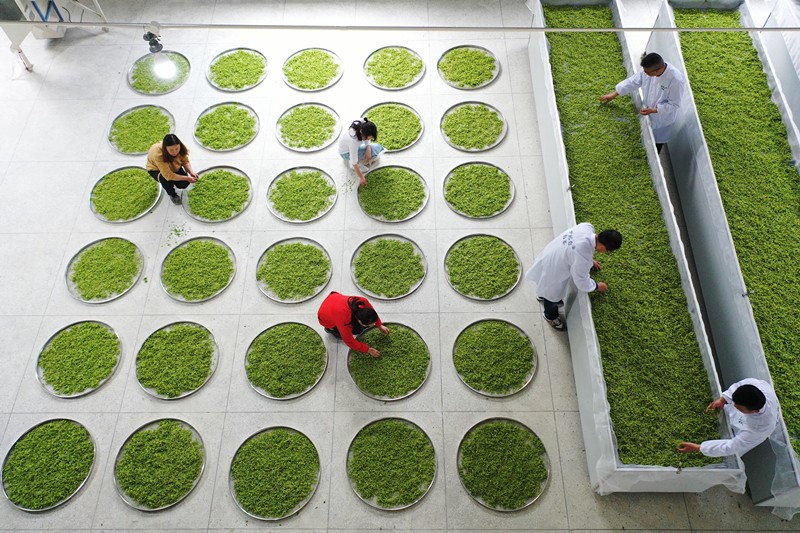 China sets role model for global poverty reduction