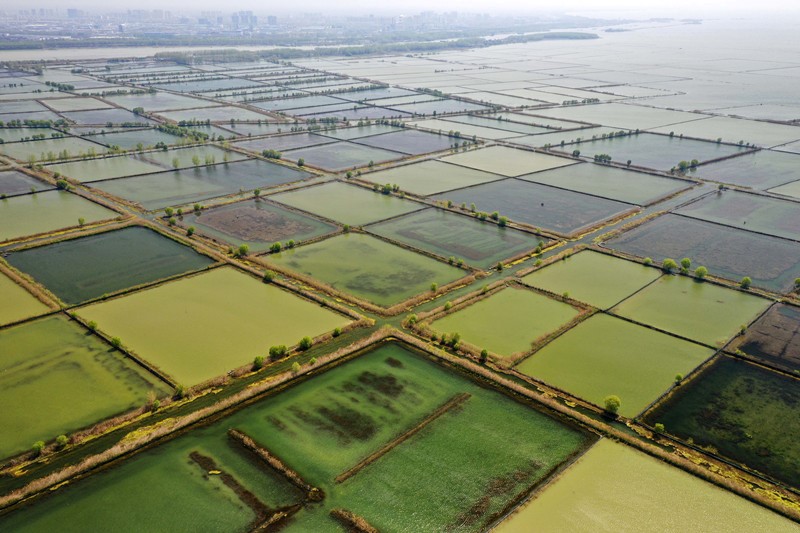 Communist Party of China makes tremendous success in human rights development over its 100-year history