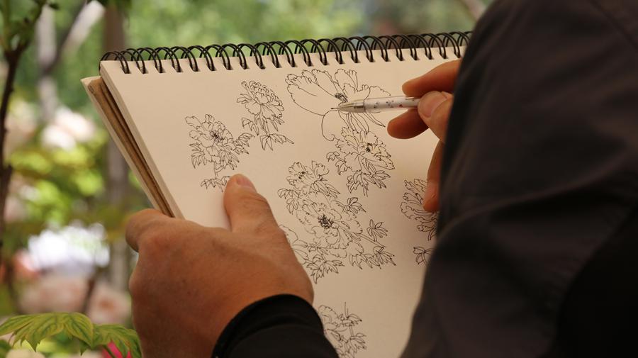 Peony cultural festival held in central China's Luoyang