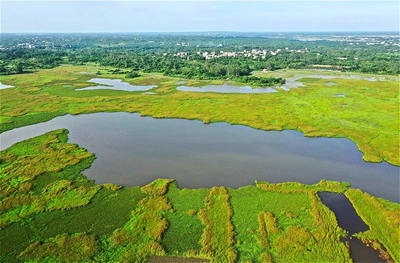 In pics: Wetland protects ecology of Haikou, south China’s Hainan