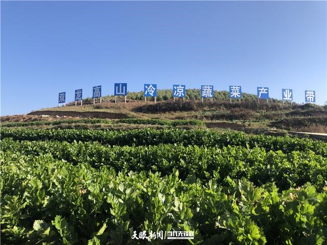 Featured industries help reduce poverty in Guizhou, Sichuan provinces