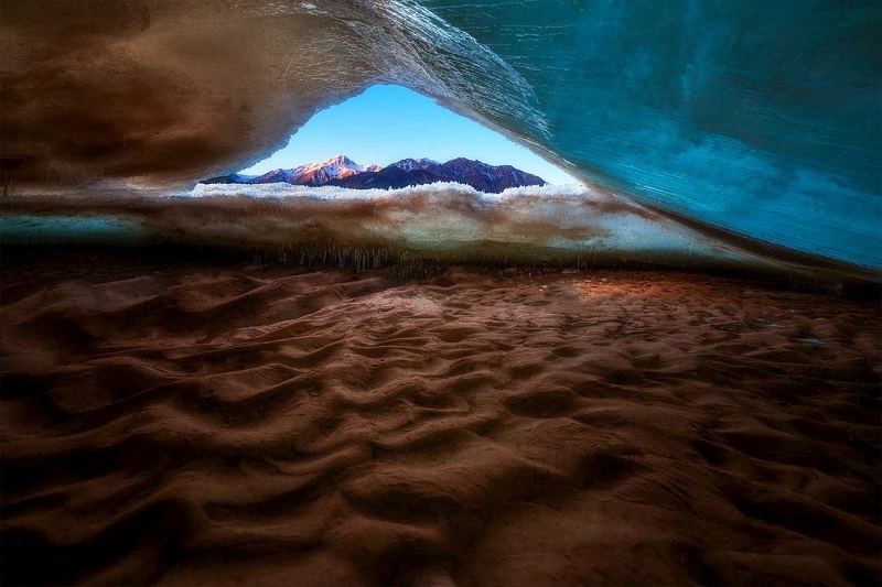 Exhibition held to showcase richness of biodiversity in NW China’s Qinghai