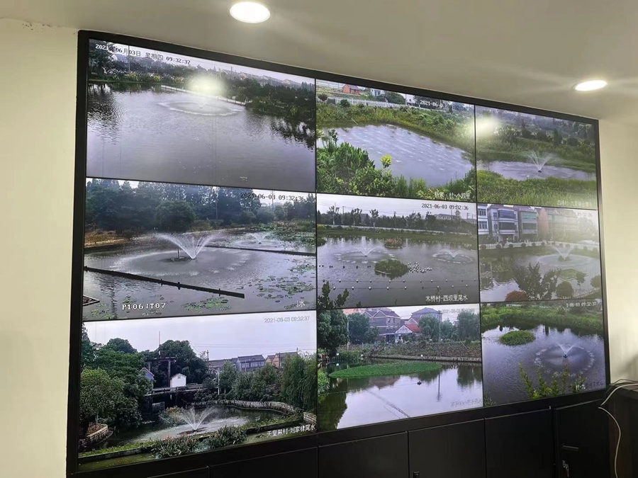 Digital technologies boost rural economy in E China’s Deqing county