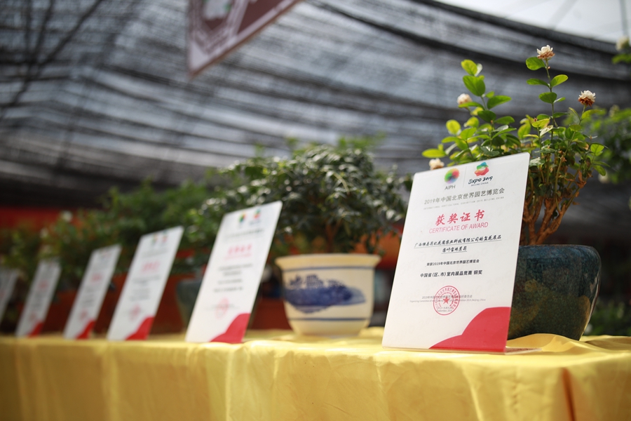 Jasmine tea of Hengzhou in SW China’s Guangxi reaches global markets