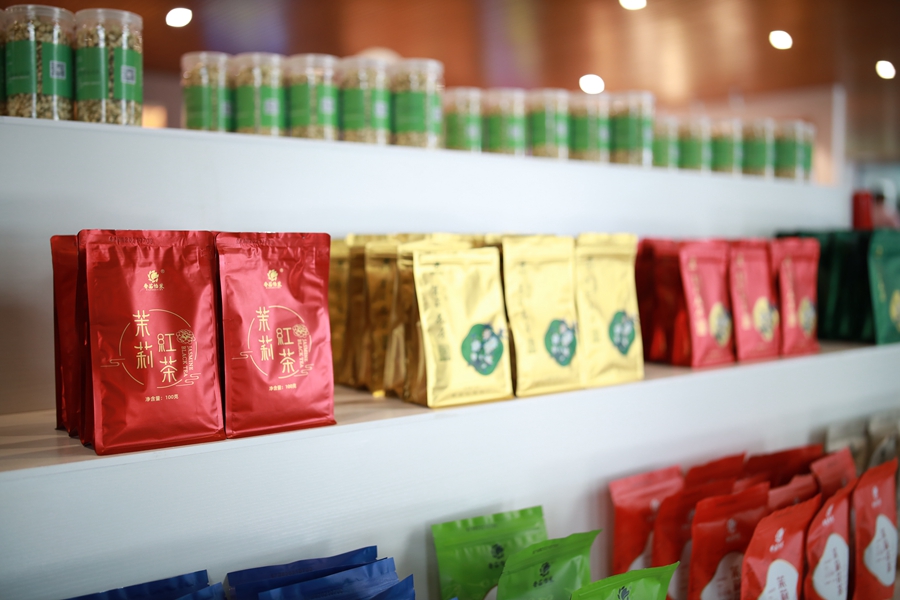 Jasmine tea of Hengzhou in SW China’s Guangxi reaches global markets