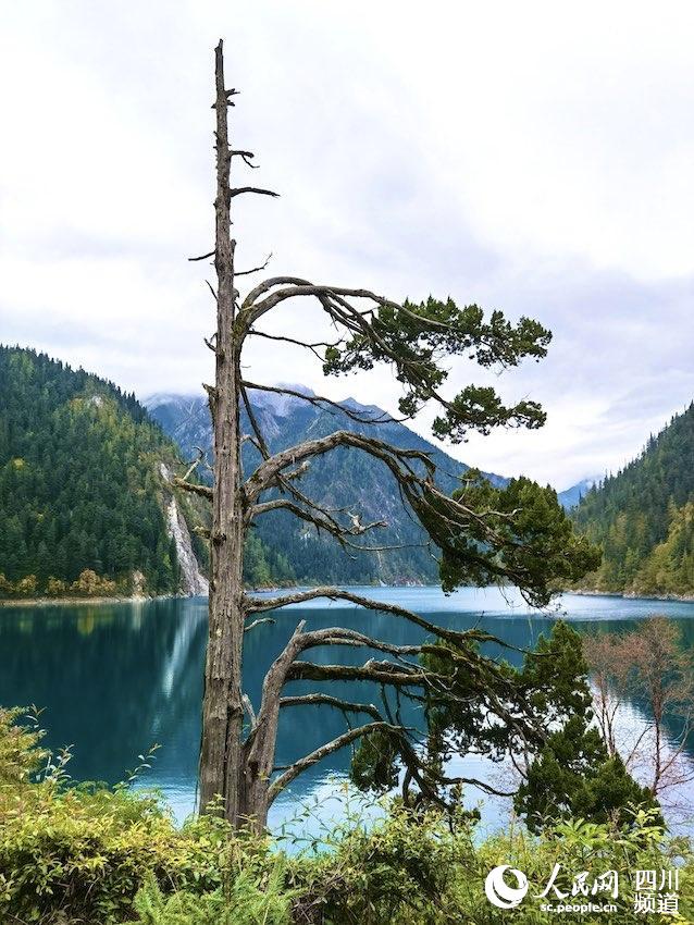 Chinese scenic spot Jiuzhaigou fully opens after quake
